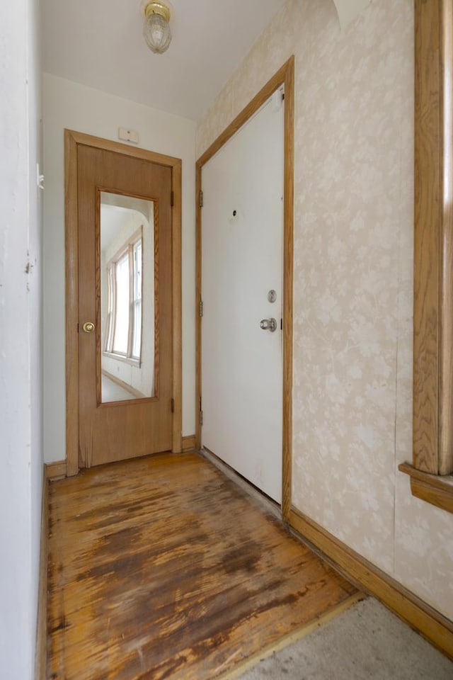 entryway with hardwood / wood-style floors