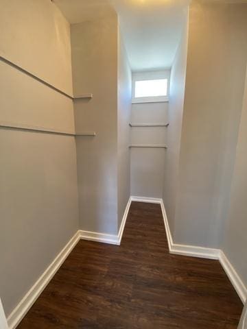 walk in closet featuring dark hardwood / wood-style floors