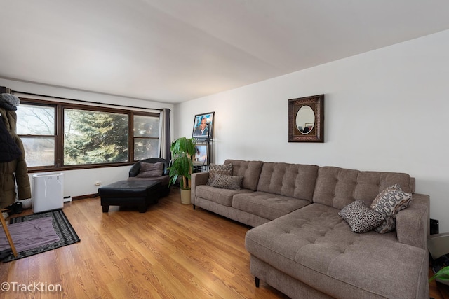 living room with light hardwood / wood-style flooring