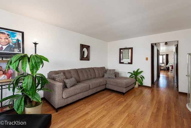 living room featuring wood-type flooring