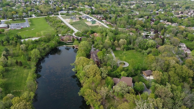 8425 Hickory Ct, Burr Ridge, IL 60527 - photo 59