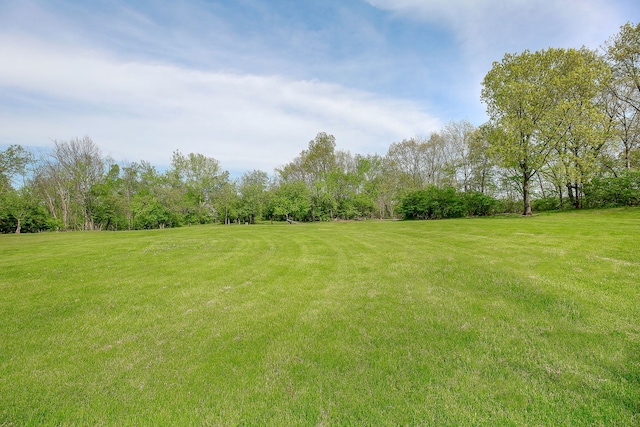 8425 Hickory Ct, Burr Ridge, IL 60527 - photo 62