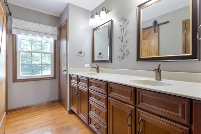 bathroom with vanity and wood-type flooring