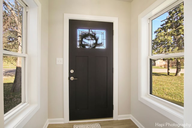 foyer entrance featuring wood-type flooring