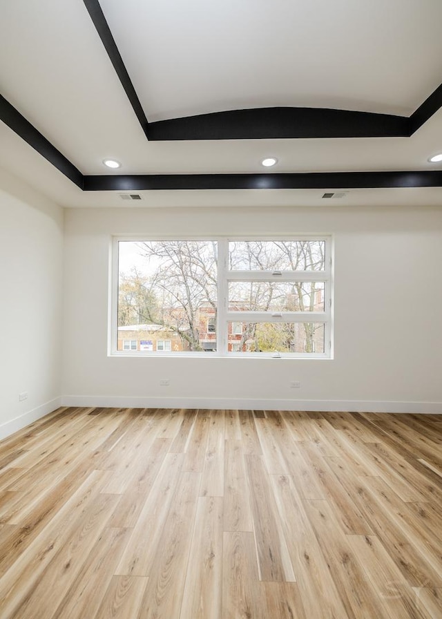 unfurnished room featuring light wood-type flooring, a tray ceiling, and a wealth of natural light