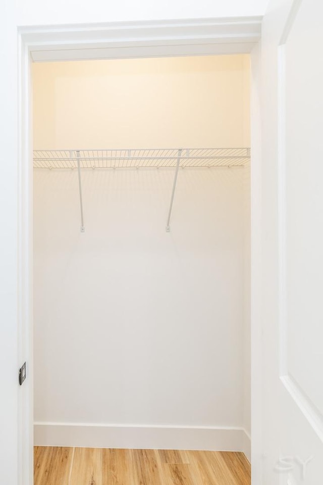 walk in closet with wood-type flooring