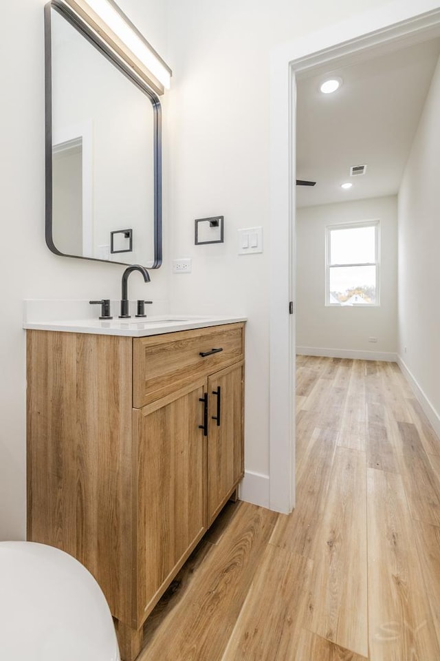 bathroom with hardwood / wood-style floors and vanity