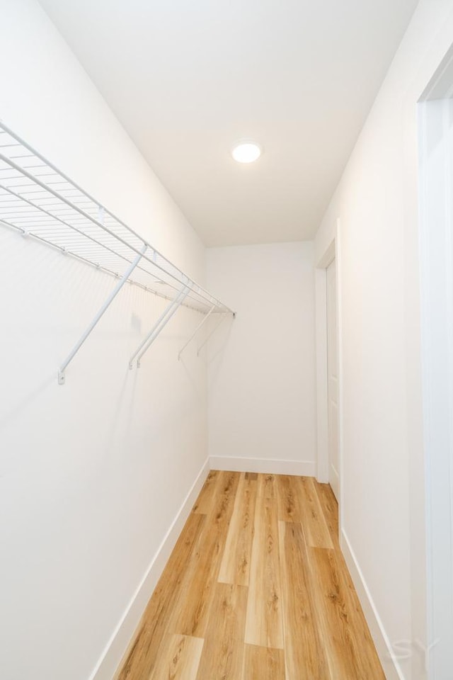 spacious closet featuring hardwood / wood-style flooring