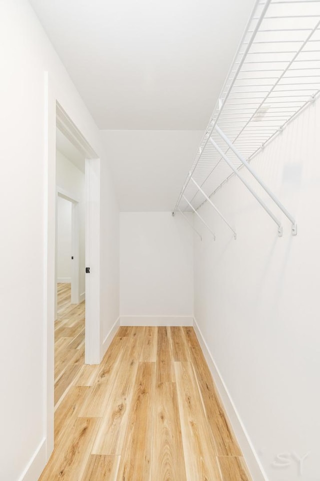 spacious closet featuring hardwood / wood-style floors