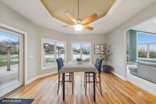 dining room with light hardwood / wood-style floors, a raised ceiling, and ceiling fan