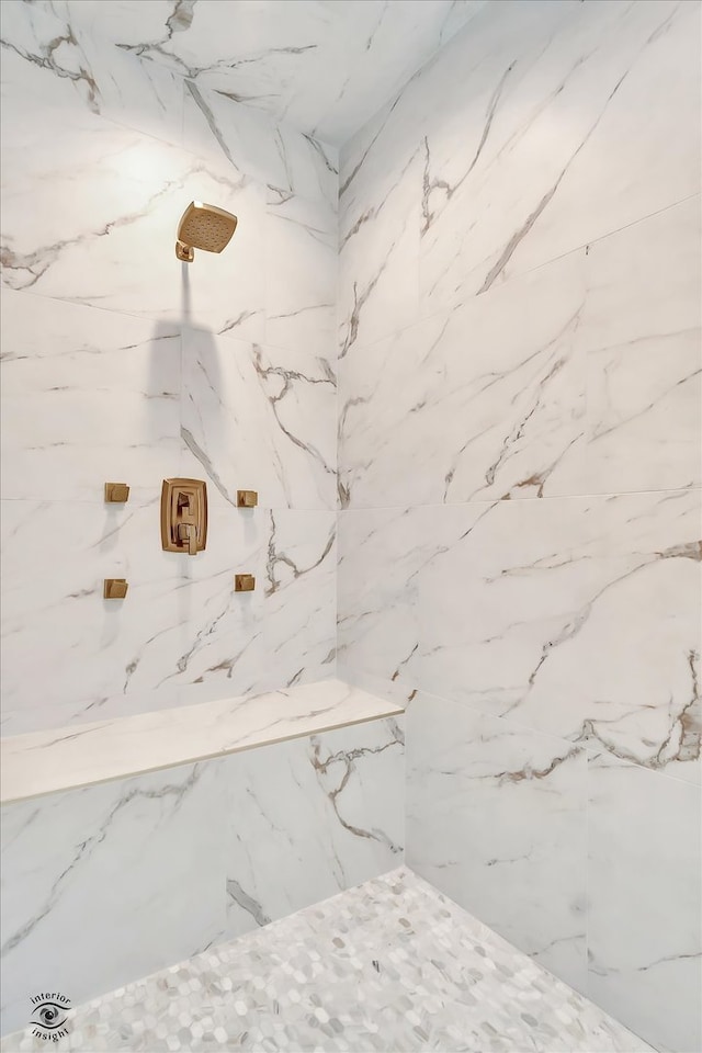 interior details featuring tiled shower