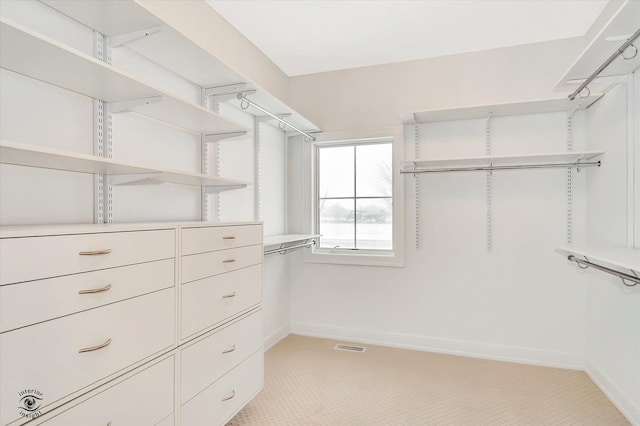 spacious closet featuring light carpet