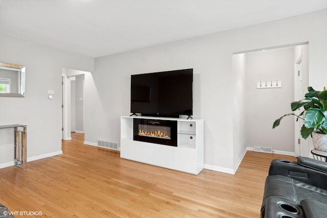 living room with wood-type flooring