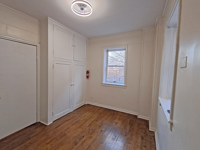 interior space featuring dark wood-type flooring and a closet