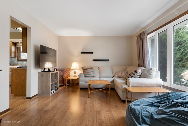 living room featuring light wood-type flooring, sink, and a wealth of natural light