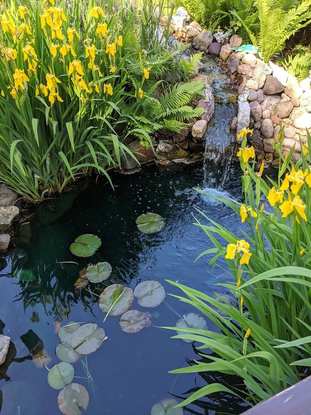 details featuring a garden pond