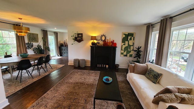 living room featuring dark hardwood / wood-style floors