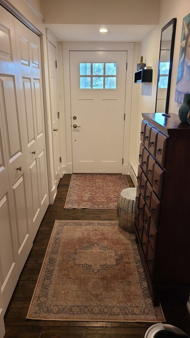 entryway with dark hardwood / wood-style floors