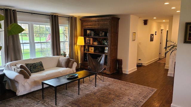 living room featuring dark wood-type flooring