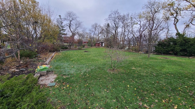 view of yard featuring a storage unit