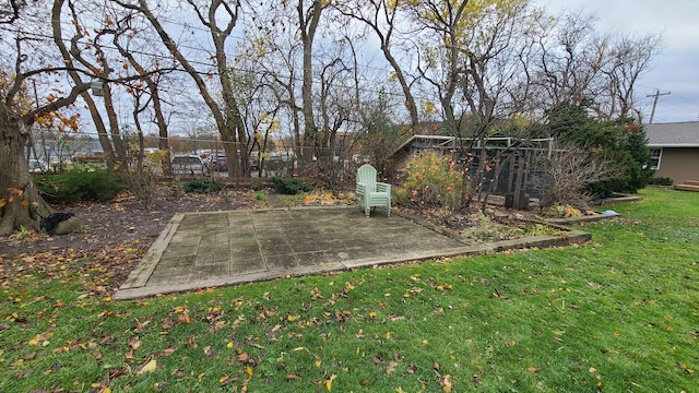 view of yard featuring a patio area