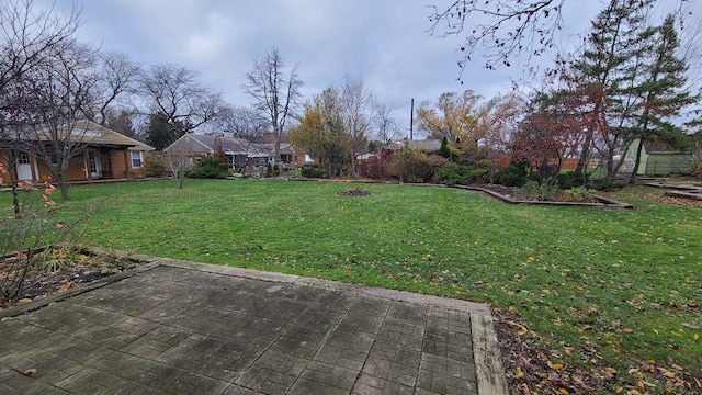 view of yard featuring a patio area