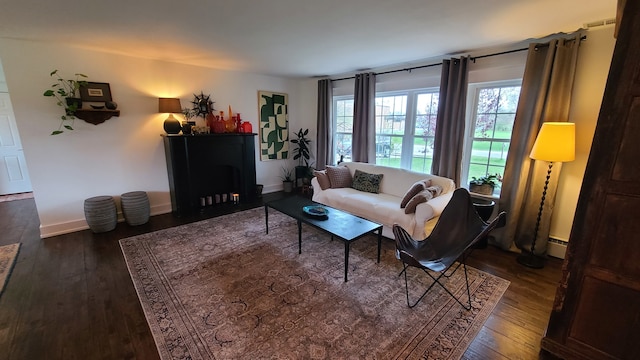 living room with dark hardwood / wood-style flooring, a fireplace, and a baseboard radiator