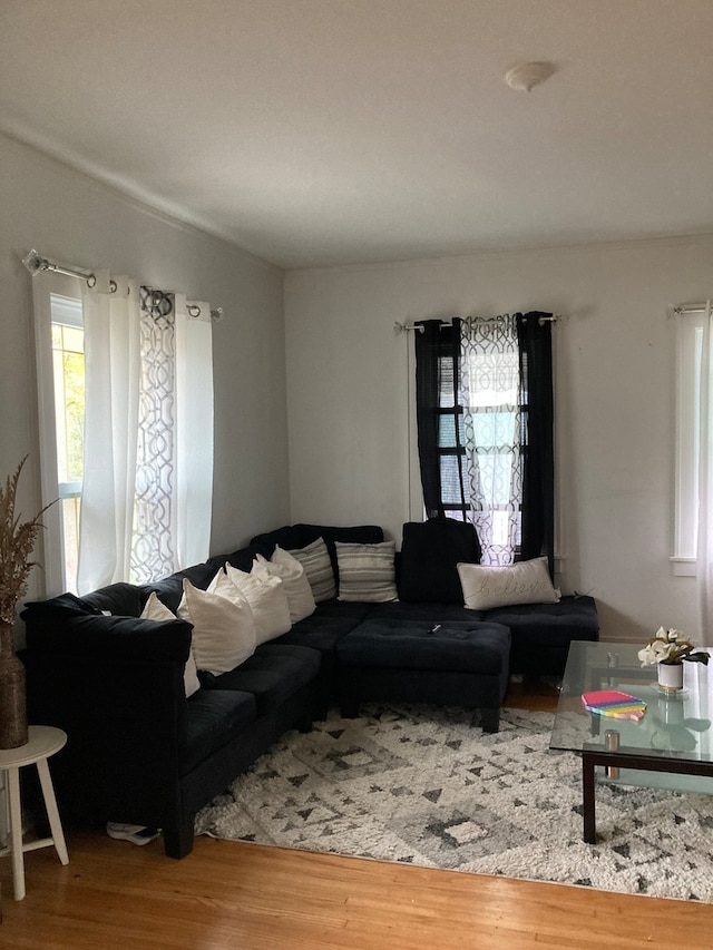 living room with wood-type flooring