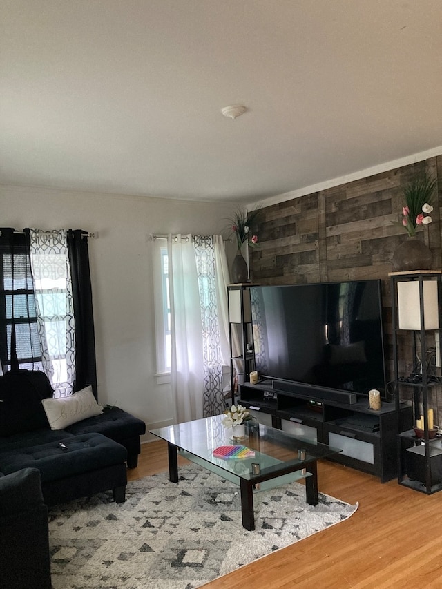 living room featuring hardwood / wood-style flooring