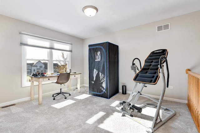 exercise area featuring light carpet