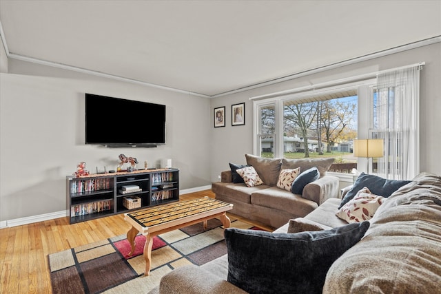 living room featuring wood-type flooring and ornamental molding