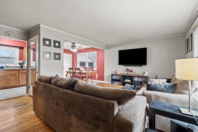 living room with ceiling fan, light hardwood / wood-style floors, ornamental molding, and sink