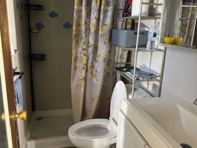 bathroom featuring a shower with curtain, vanity, and toilet