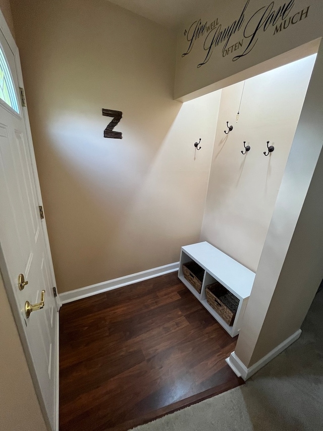 mudroom featuring dark hardwood / wood-style flooring