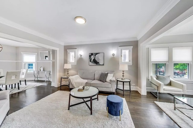 living room featuring crown molding and dark wood-type flooring