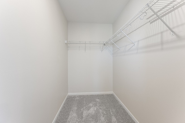 spacious closet with carpet flooring