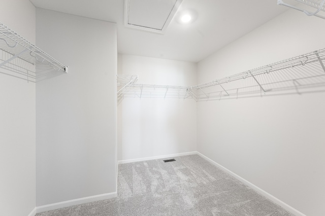 spacious closet featuring carpet