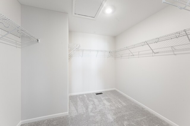 walk in closet featuring visible vents and carpet floors