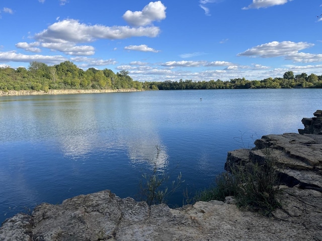 water view with a forest view