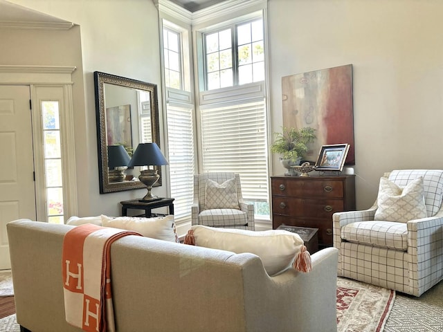 living room featuring crown molding