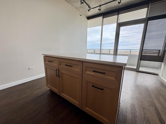 kitchen featuring rail lighting, dark wood finished floors, baseboards, expansive windows, and light countertops