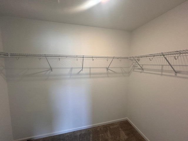walk in closet featuring dark colored carpet