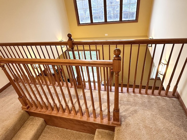 stairs featuring carpet flooring