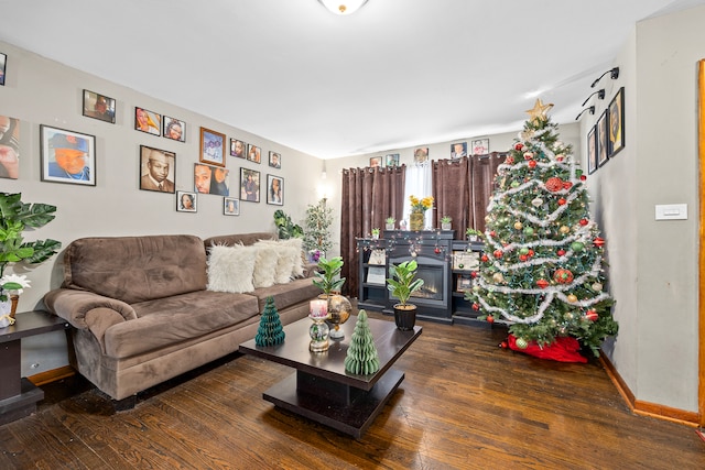 living room with a fireplace and dark hardwood / wood-style flooring