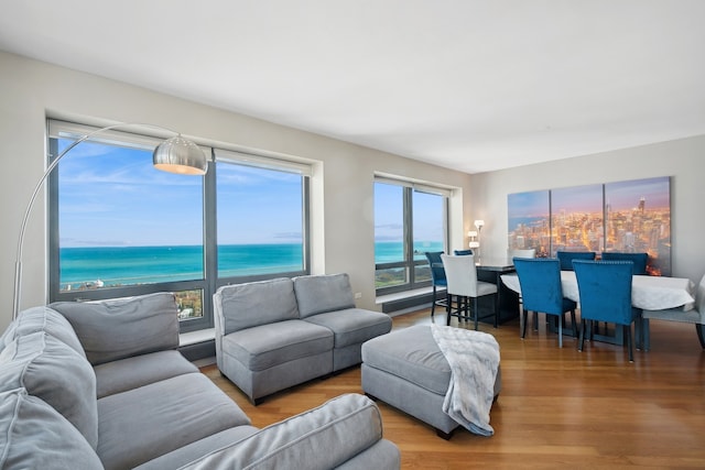 living room with hardwood / wood-style floors, a water view, and a view of the beach