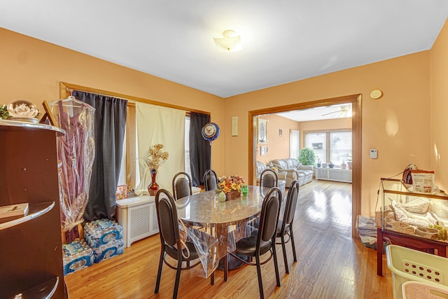 dining space with radiator and light hardwood / wood-style flooring