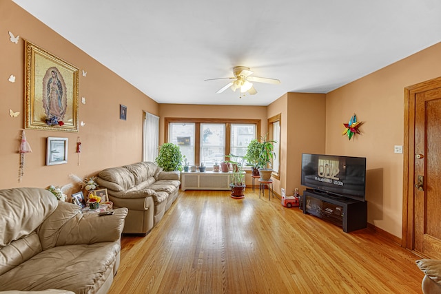 living room with ceiling fan, radiator heating unit, and light hardwood / wood-style flooring