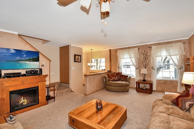 living room featuring ceiling fan with notable chandelier, carpet floors, and ornamental molding