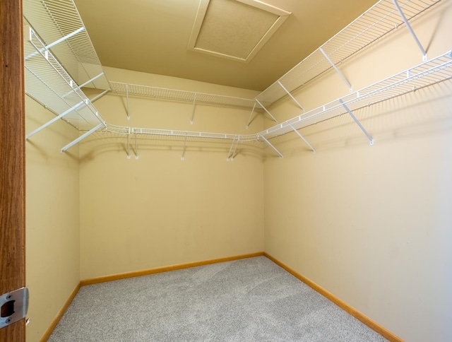 walk in closet with carpet