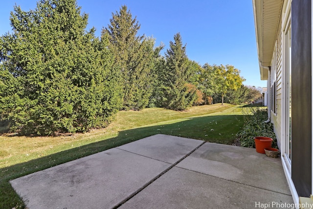 view of yard featuring a patio